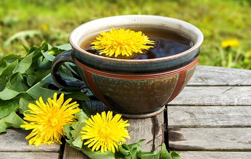 Top 5 Herbal Remedies to Make This Spring- dandelion tea