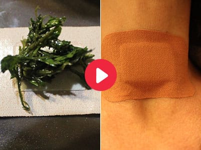 I Used a Dandelion Thyroid Patch, and This Happened!