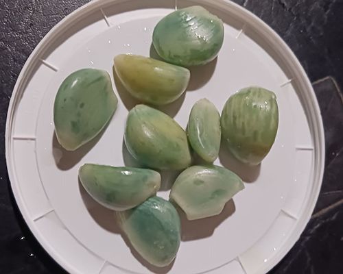 Blue Garlic - Result