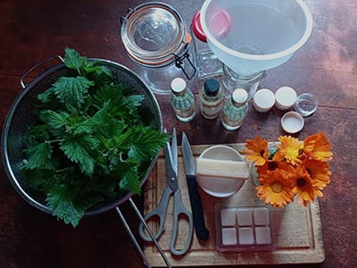 Homemade Herbal Rub for Eczema & Psoriasis-ingredients