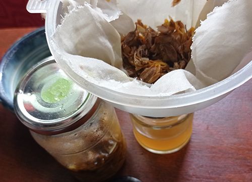 Nature's Ibuprofen - Strain Tincture