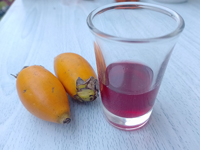 10 Signs You Have a Parasite Inside - Enjoy Drink