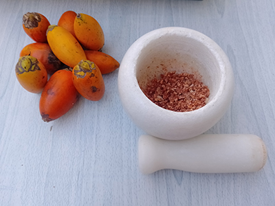 10 Signs You Have a Parasite Inside - Ingredients