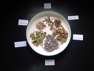 AffectsBrain - Ingredients