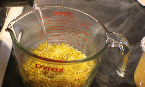 Dandelion Soda - Dandelion Soda 3