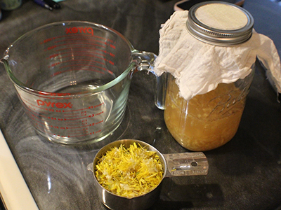 Dandelion Soda - Dandelion Soda Ingredients