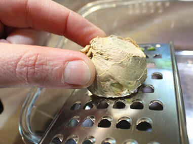 Dandelion Soda - Ginger 1