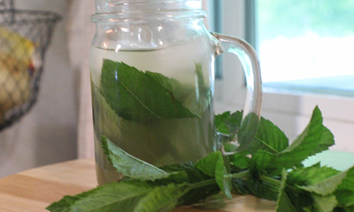 Dandelion Soda - mint soda