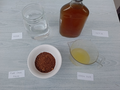 Probiotic Lemonade - Ingredients