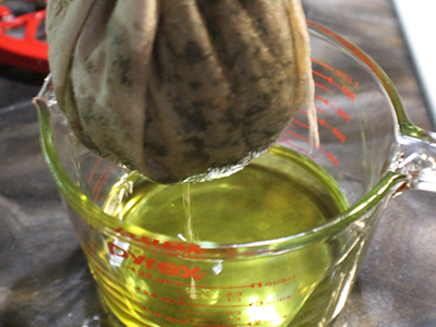 Dandelion and Magnesium Balm for Pain Relief - Dandelion Oil