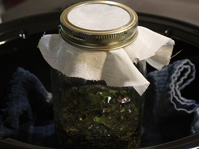 Dandelion and Magnesium Balm for Pain Relief - Plant in jar