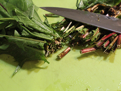 Dandelion and Magnesium Balm for Pain Relief - Plant