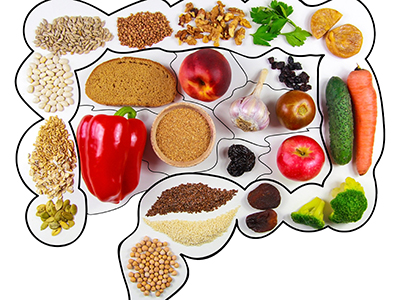 Food for bowel Health. Kefir, Bifidobacteria, greens, apples, fiber, dried fruits, nuts, pepper, whole bread, cereals, broccoli, chickpeas, flax seed. Isolate on a white background