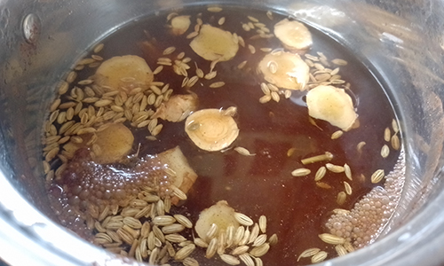 GutGlossary - add herbal remedies