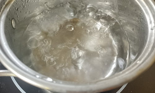 GutGlossary - boil water