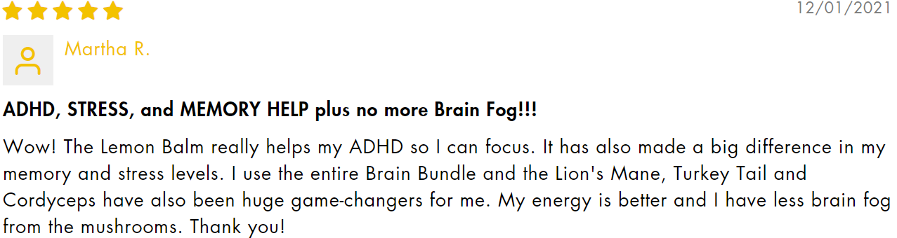 Healthy Brain Bundle Review
