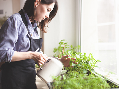 Gardening,Home.,Woman,Replanting,Green,Pasture,In,Home,Garden.indoor,Garden,room