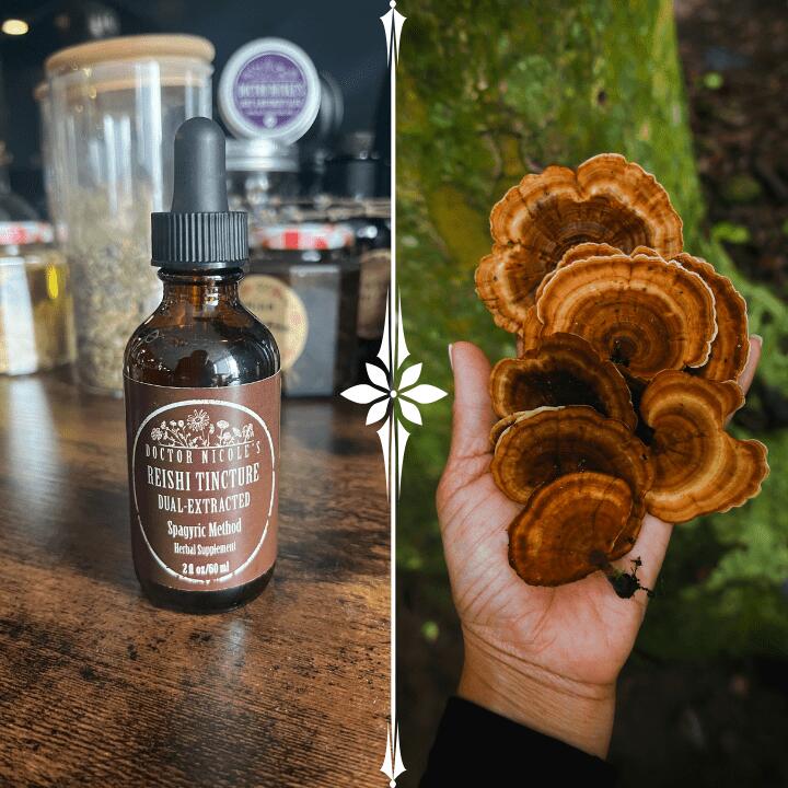 They Call This The Mushroom of Immortality