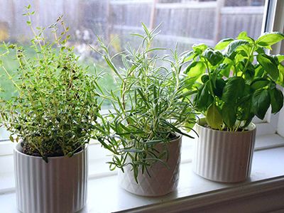 UrbanGuide - Go Vertical