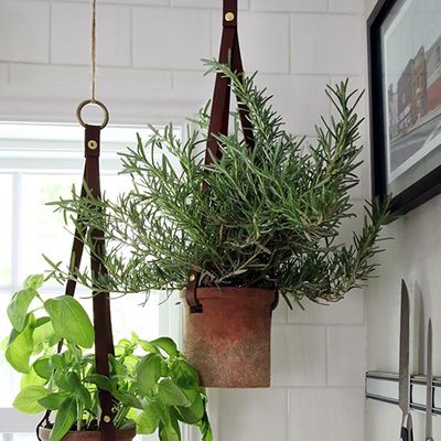UrbanGuide - Hanging Planters