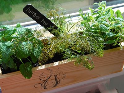 UrbanGuide - Mixing Plants