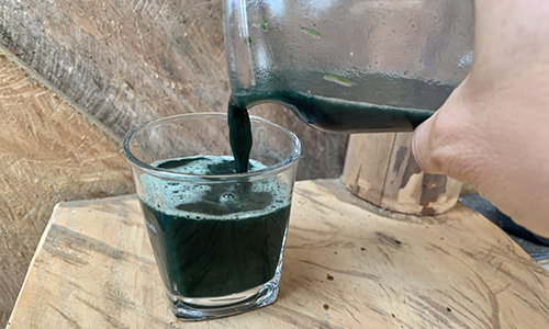 Heavy Metal Poisoning Detox - Result
