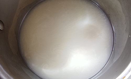 Blue Garlic Milk - 2