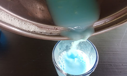 Blue Garlic Milk - 5