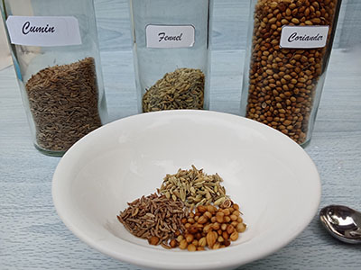 Gut Needs Help - ingredients