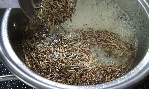 Nature's Minoxidil - Step 1