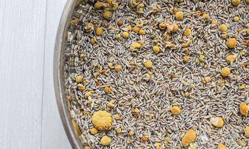 Never Throw Away Garlic Skins - Step 1