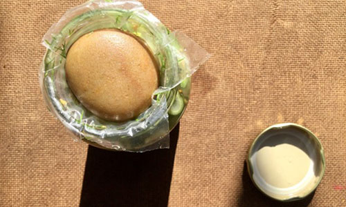 PickledDandelion - Step 13