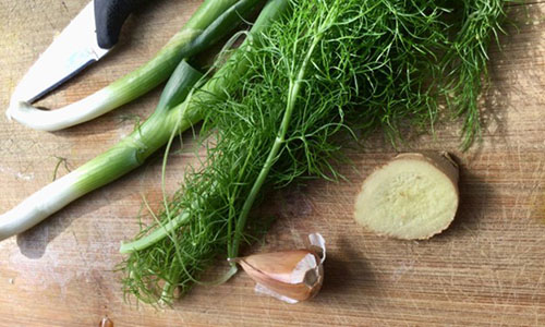 PickledDandelion - Step 5