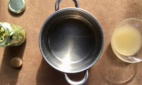 PickledDandelion - Step 9