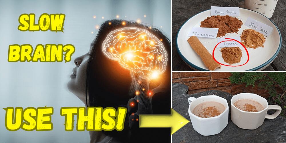 Slow Brain - Featured Image