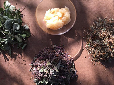 SlowAging - ingredients