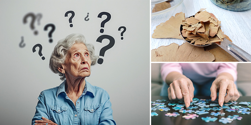 Herb that Fights Dementia