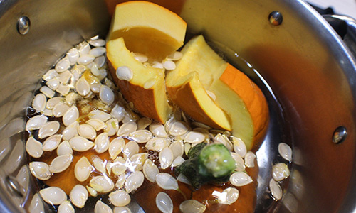 Anti-ParasiticBroth - boi