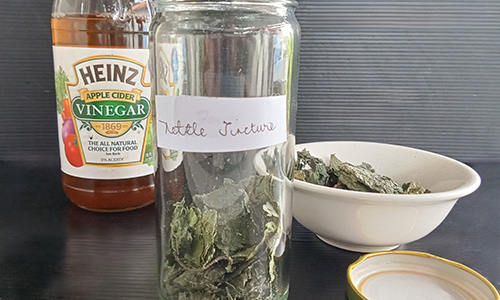DIY Kidney Stone Breaker Nettle Tincture