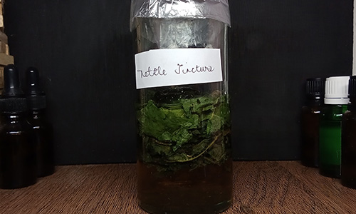 DIY Kidney Stone Breaker Tincture Making
