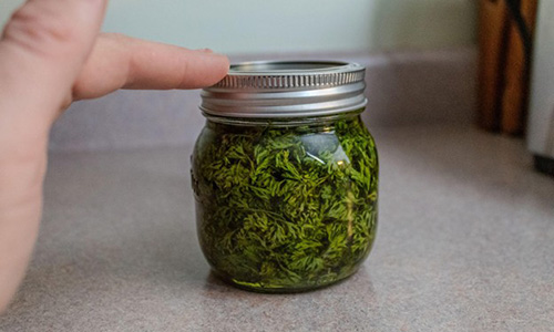 Parsley Oil The Alkaline Superfood done