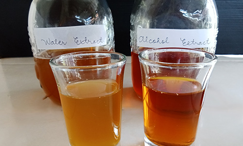 Vitamins VS Tinctures - 7