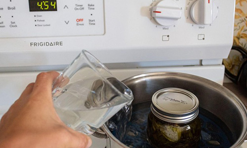 Anti-Eczema Plantain Oil - Step 3