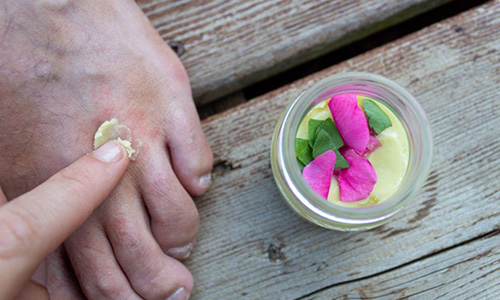 Anti-Eczema Plantain Oil - Step 5