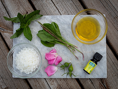 Anti-Eczema Plantain Oil - ingredients