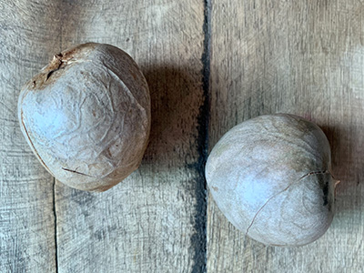 Avocado Seeds Ingredients