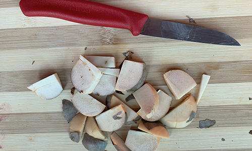 Avocado Seeds Step 2