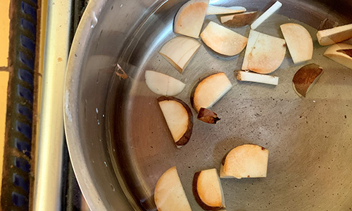 Avocado Seeds Step 3