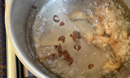 Avocado Seeds Step 4