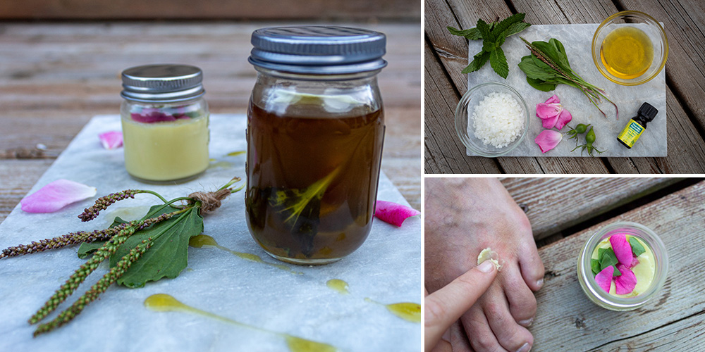 Anti-eczema plantain oil cover